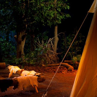 Indoor Outdoor Experience